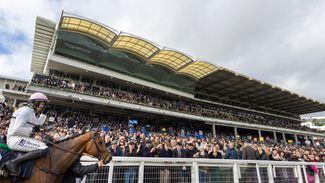 'We're extremely disappointed' - head of trainers' association reacts to prize-money cut