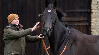 ‘I’m not afraid to have a go’ - Joe Tizzard set to make last-minute decision on JPR One’s Tingle Creek bid