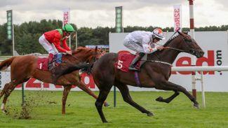 Fantastic four: horses who could take Newmarket's Craven meeting by storm