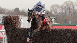 King George the main target for Il Est Francais next season - but he could run at Cheltenham first