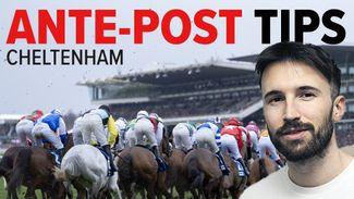 'The 25-1 about him for a soft Grade 1 is worth taking' - where is the ante-post value in the NRNB Cheltenham Festival markets?