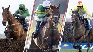 'This race is his best chance of a festival win' - ante-post fancies for the four novice chases at Cheltenham