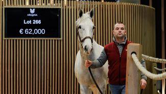 Prepare for Impact: Haras de Beaumont acquire pair of top lots at Arqana to visit Arc hero