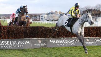 Remarkable Mixboy registers all-weather win to go with jumps successes