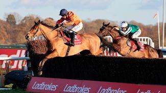 Don't be too greedy - there's plenty on the Betfair Chase bone to salivate over