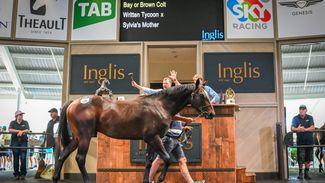'He was the best colt here' - Crosbys achieve A$550,000 milestone with Written Tycoon colt