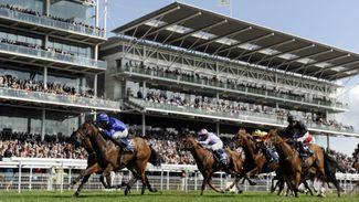 Three handicappers to follow on day two of York's Dante meeting