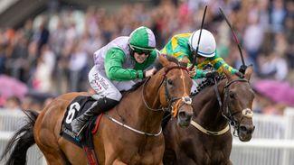 Galway: Brazil turns on the style after Galway Hurdle flop with last-gasp success