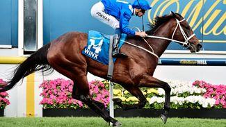 Winx attempts 11 on the spin at Randwick