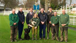 York, Kelso and Lingfield win RCA groundstaff awards
