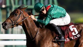 Classy Erevann steps up in trip for Prix Dollar with Jean-Claude Rouget predicting big run if he stays