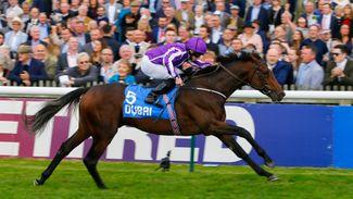 Guineas entrant can get off the mark at Newmarket