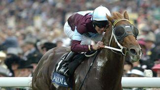 Coolmore sire Choisir pensioned after 17-year stallion career