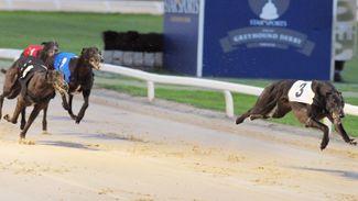 Greyhound industry in shock after racing ceases at flagship course Towcester