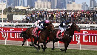 Three things to take out of a historic Melbourne Cup