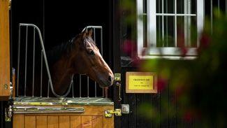 'As with Dubawi, Cracksman could be proving all the big judges wrong again'