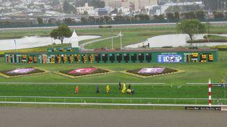 Golden Gate Fields to close at end of season in another blow to US racing