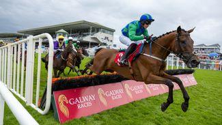 Stick with Irish bankers and south-west gems - James Stevens forms his Tote team