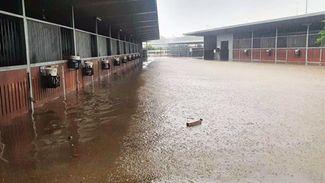 'The whole stable went under' - floods wreak havoc on Australia's east coast