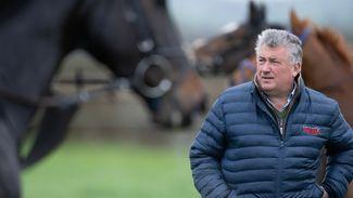 Nicholls could become winning breeder with Stratford bumper runner Old Gold