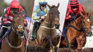 Who wins the Coral Gold Cup? Assessing the strengths and weaknesses of the big-race contenders