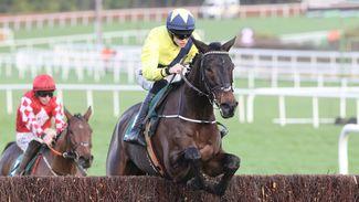 Arkle favourite Marine Nationale ruled out of Cheltenham - but Barry Connell raises prospect of autumn Flat campaign