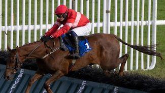 Leading Albert Bartlett fancy High Class Hero set to test his Cheltenham credentials at Thurles or Leopardstown