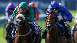 'The idea is to take her to the Breeders' Cup' - Guineas winner Mawj to take in US autumn campaign