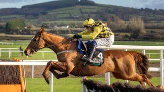 Can State Man beat Constitution Hill in the Champion Hurdle? Our experts have their say