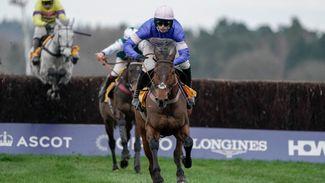 'Massive issue' - leading bookmaker warns of the damaging effect of small-field chases on ITV