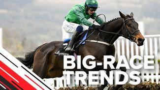 Big-race trends: the key statistics to help you find the winner of the Baring Bingham Novices' Hurdle