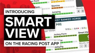 Smart View is available on the Racing Post app - how to read the revolutionary new racecard
