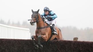 Haldon Gold Cup: 'That's why Dan will be champion' - owner celebrates Thistle Ask completing £94,000 hat-trick in 13 days