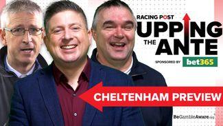 Watch: an Upping The Ante special as David Jennings, Johnny Dineen and Gary O'Brien preview all 28 Cheltenham Festival races