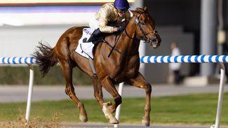 Dubai World Cup runner-up Algiers scratched from Breeders' Cup Dirt Mile