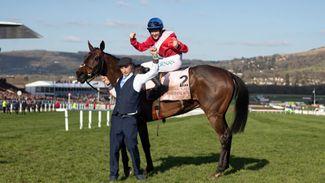 Which Cheltenham Festival winners can repeat the feat this year?