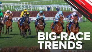 Big-race trends: key stats to help you find the winner of the Mares' Hurdle and Mares' Novices'