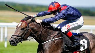 Sky's the limit for powerful Steel Bull after impressive Molecomb success