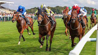 2.10 Epsom: 'I’ll be disappointed if he doesn’t run a massive race' - key quotes and analysis for competitive sprint handicap