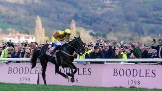 William Hill to become first bookmaker to go non-runner no bet on all 28 Cheltenham Festival races from New Year's Day