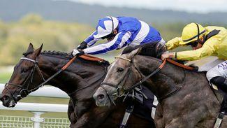 Dhushan seeking a hat-trick for Haggas in red-hot three-year-old handicap