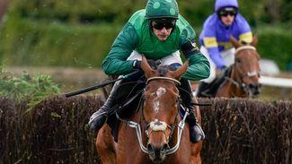 'The wait won't impact him too much' - El Fabiolo odds-on for Dublin Chase with Willie Mullins set for DRF dominance