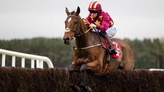 Cheltenham specialist and 'warrior' Minella Indo ready for cross-country on potentially huge Wednesday for owner Barry Maloney