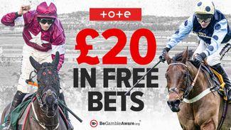 Tote Cheltenham offer: Get £20 in free bets for the festival