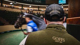 'It has been widely welcomed in our discussions with vendors' - Goffs announces new breeze-up sale for 2025