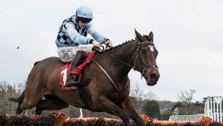Pic D'Orhy and Quel Destin give Ditcheat strong Triumph Hurdle hand