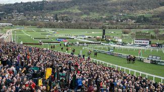 What makes Cheltenham such a life-affirming experience? It's definitely not the 'Balearic beats'