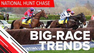 Big-race trends: stats to help you narrow down the field in the National Hunt Chase
