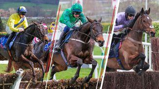 Cheltenham novices: where might the main players from this week run at next year’s festival?