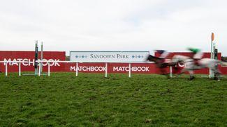 Sandown to use colour-coded winning posts to avoid repeat of photo-finish fiasco